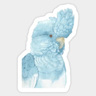 indigo glossy black cockatoo watercolor portrait Sticker
